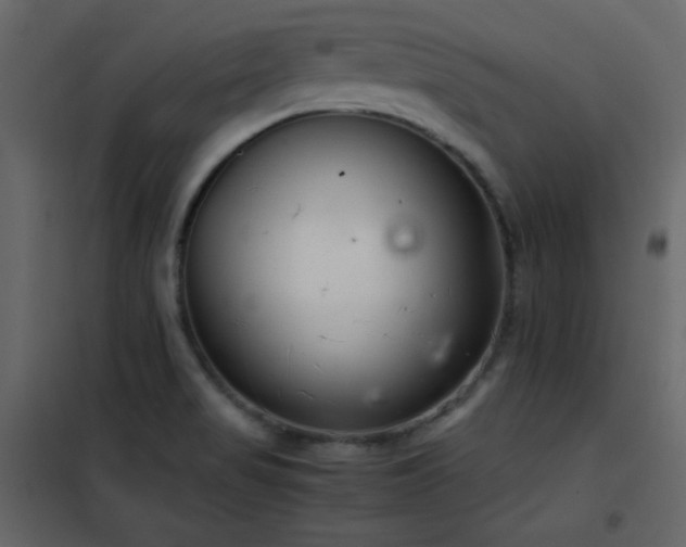 X0000102481517200808081253