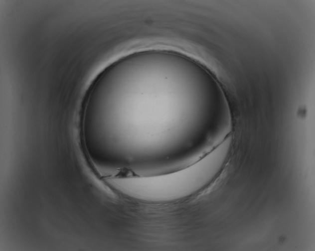 X0000102481518200808081253