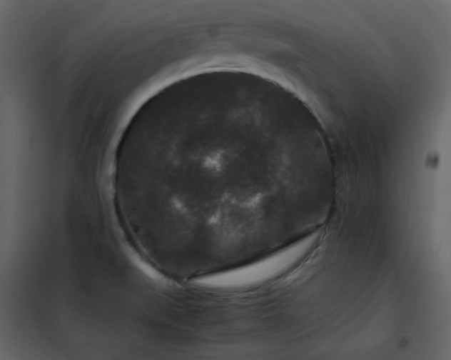X0000102481519200808081253