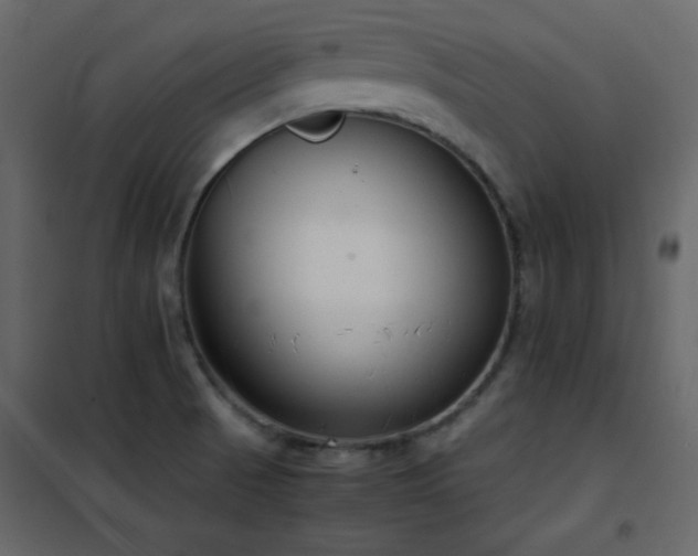 X0000102481521200808081253