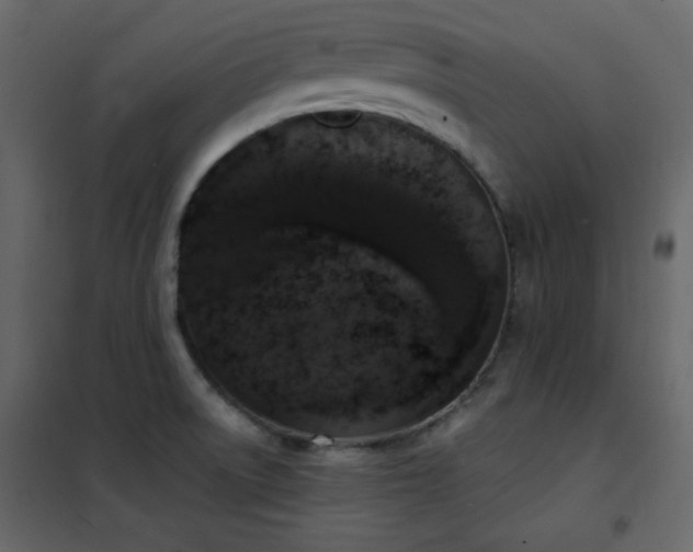 X0000102481522200808081253
