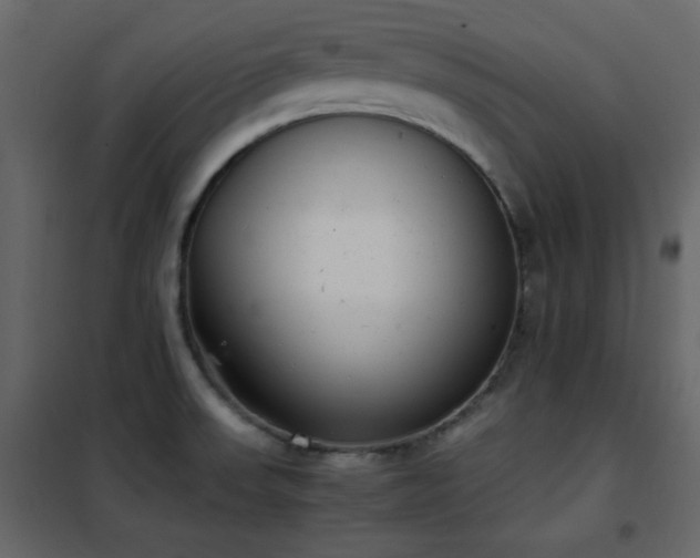 X0000102481523200808081253