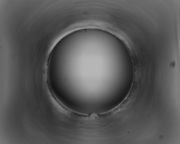 X0000102481524200808081253