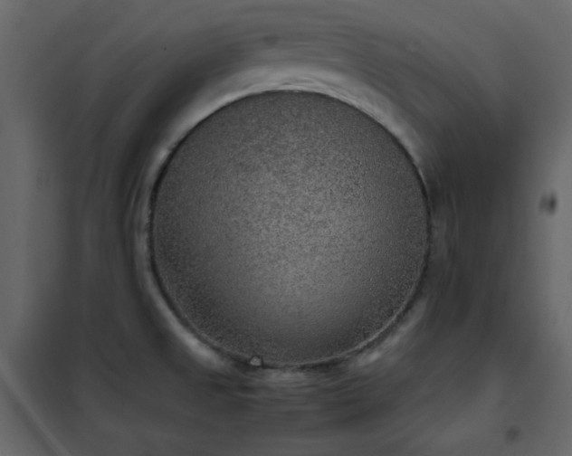 X0000102481525200808081253