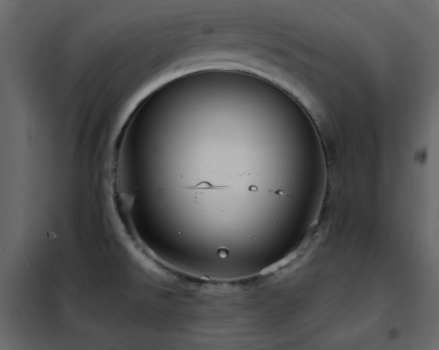 X0000102481526200808081253