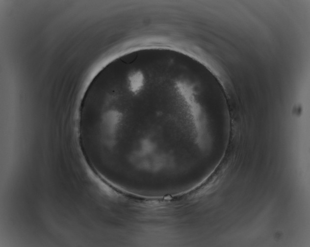 X0000102481527200808081253