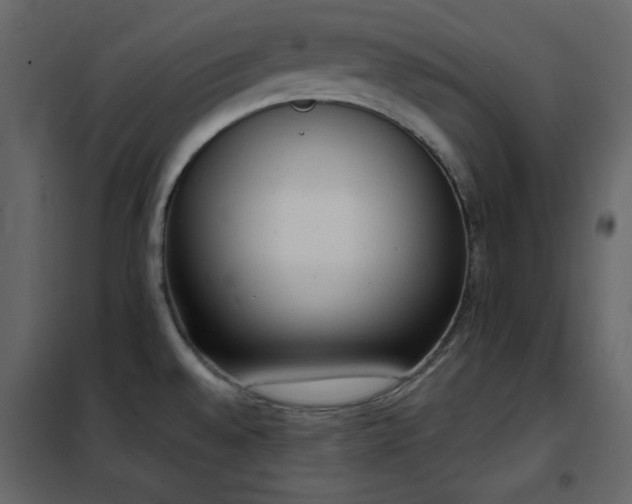 X0000102481528200808081253