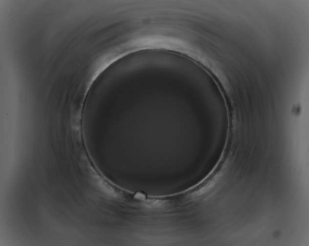 X0000102481529200808081253