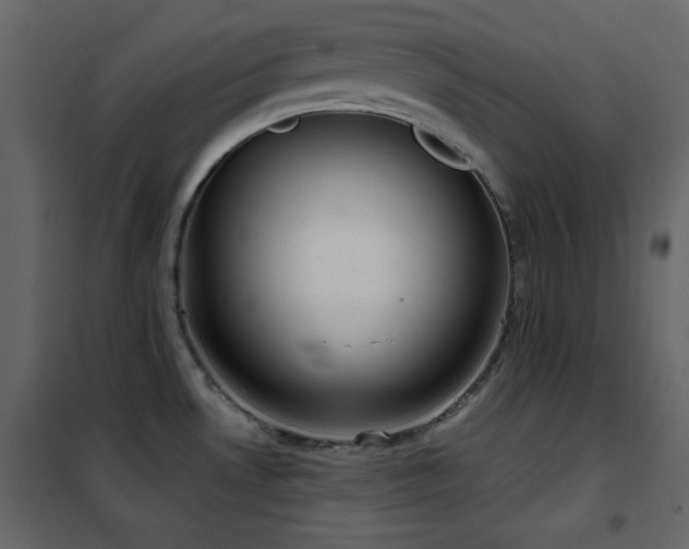 X0000102481530200808081253