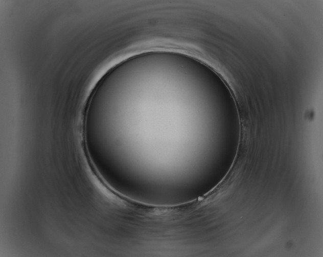 X0000102481531200808081253
