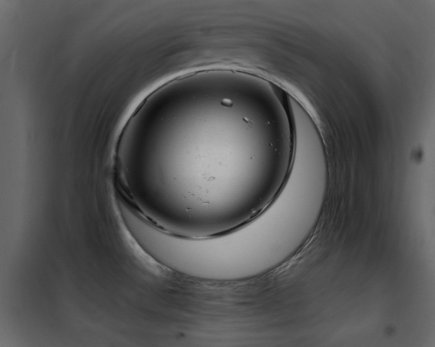 X0000102481532200808081253