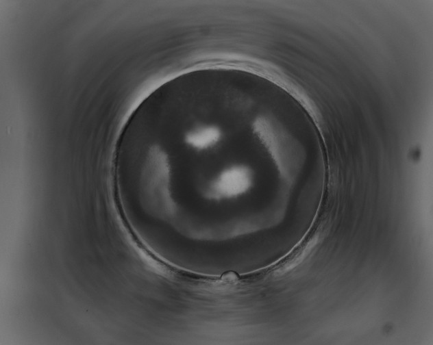 X0000102481533200808081253