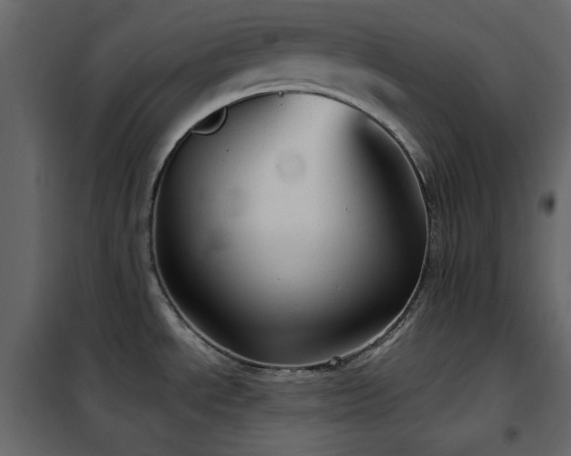 X0000102481534200808081253