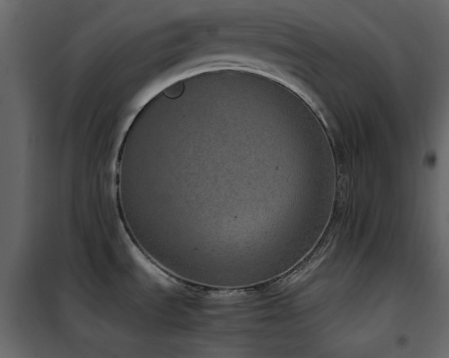 X0000102481535200808081253