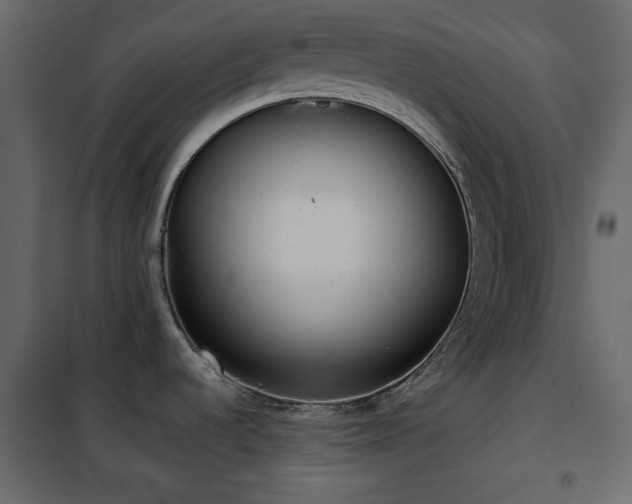 X0000102481536200808081253