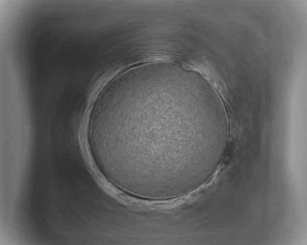 X0000102480001200808151500