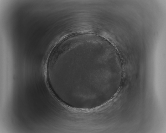 X0000102480002200808151500