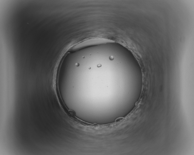 X0000102480003200808151500