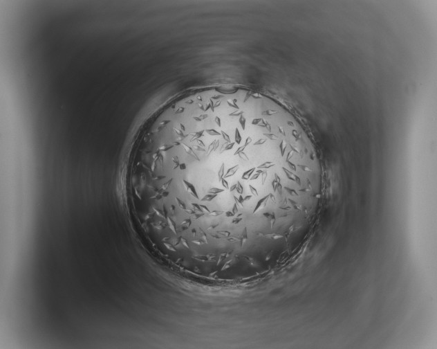 X0000102480004200808151500
