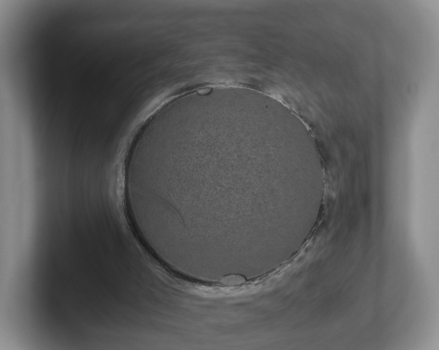 X0000102480005200808151500