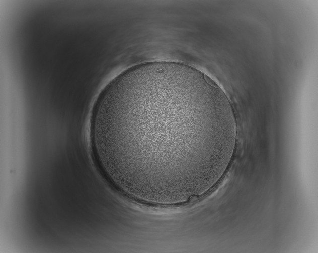 X0000102480008200808151500