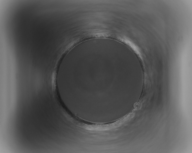 X0000102480009200808151500