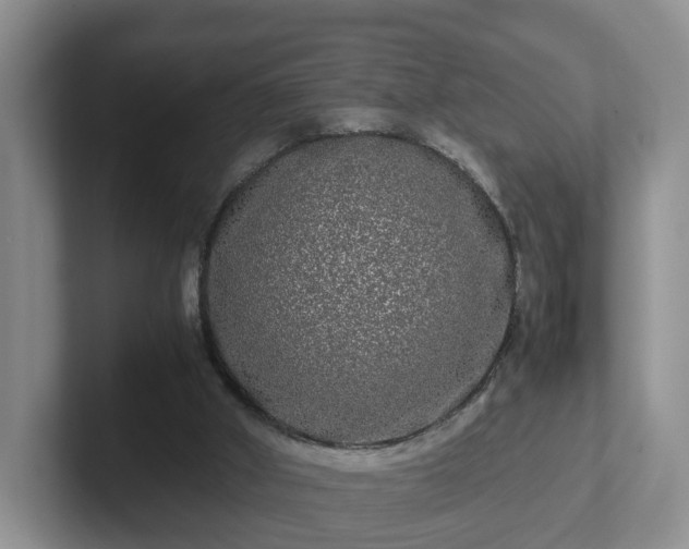 X0000102480010200808151500