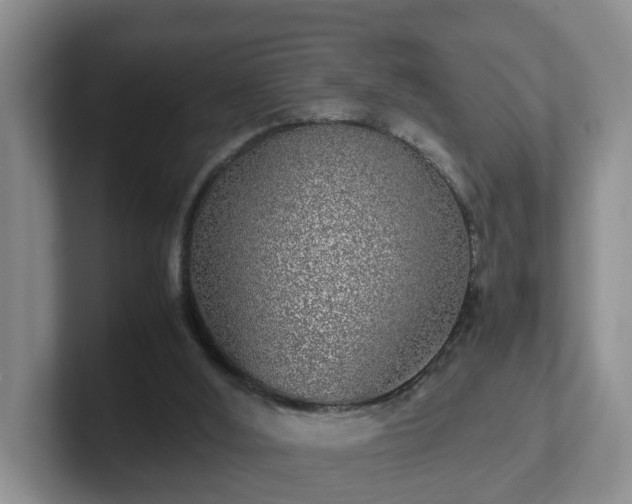 X0000102480012200808151500