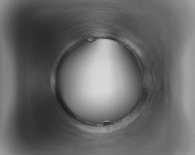 X0000102480015200808151459