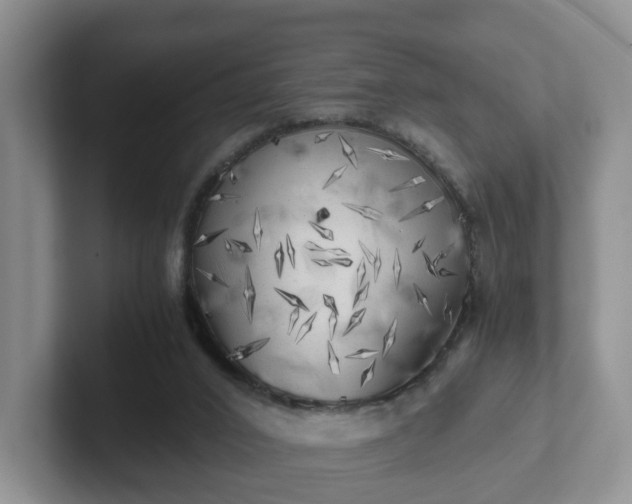 X0000102480016200808151459