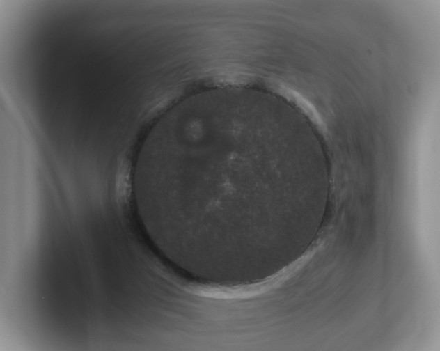 X0000102480017200808151459