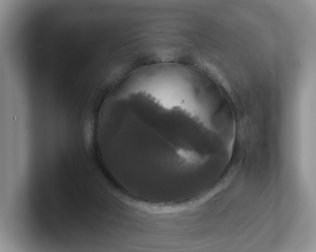 X0000102480018200808151459