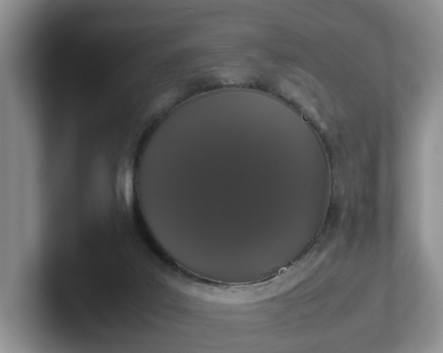 X0000102480019200808151459