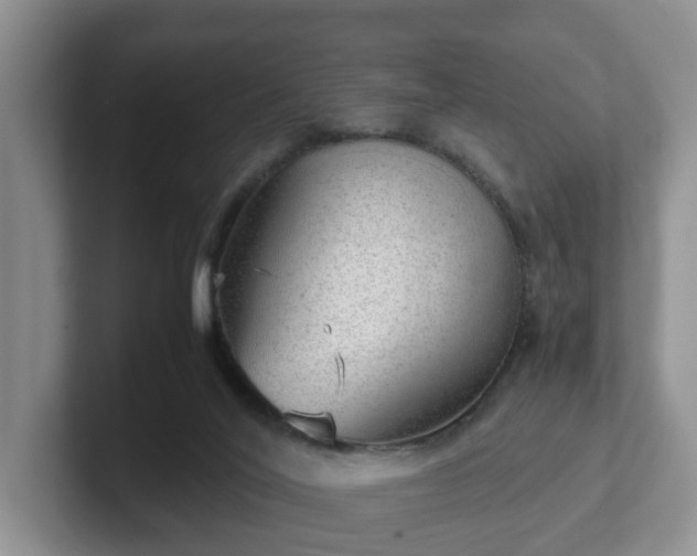 X0000102480020200808151459