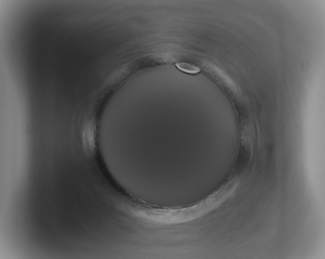 X0000102480023200808151459