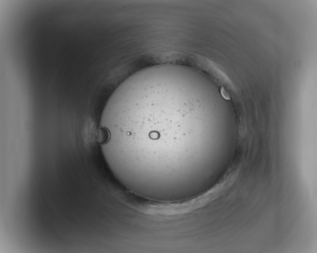 X0000102480025200808151459