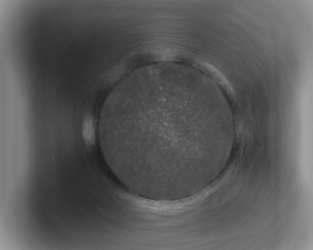 X0000102480026200808151459