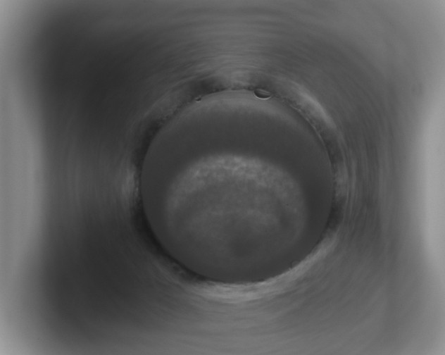 X0000102480029200808151459