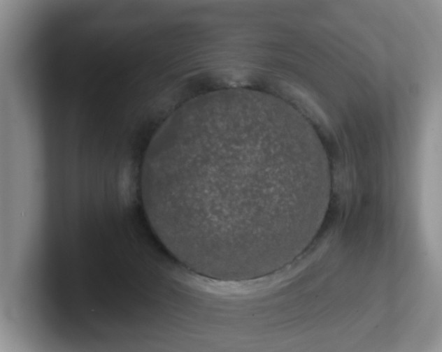 X0000102480030200808151459