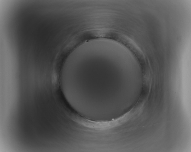 X0000102480031200808151459