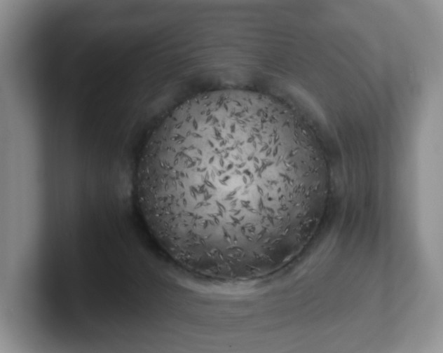 X0000102480032200808151459