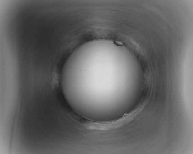 X0000102480033200808151459