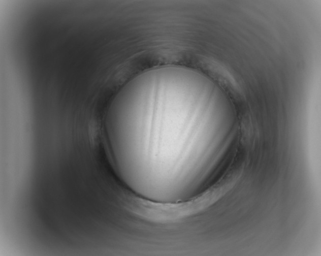 X0000102480034200808151459