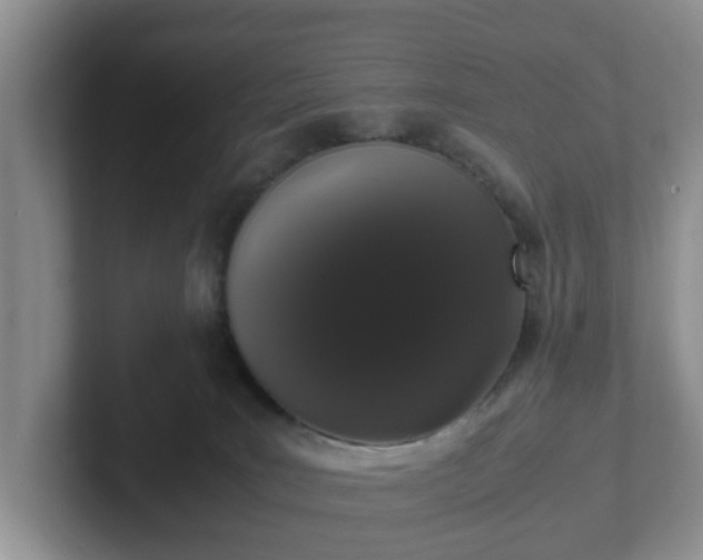 X0000102480035200808151459