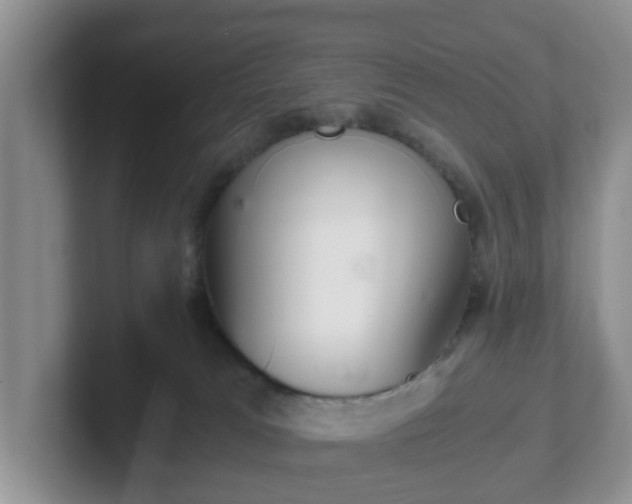 X0000102480037200808151459