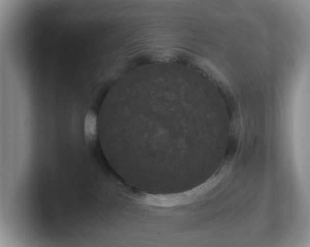 X0000102480041200808151459