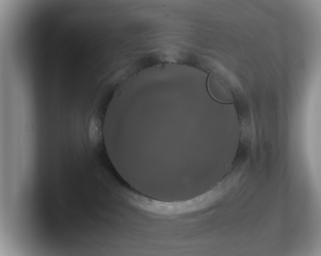 X0000102480043200808151459