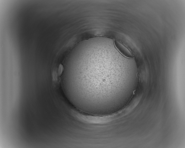 X0000102480044200808151459