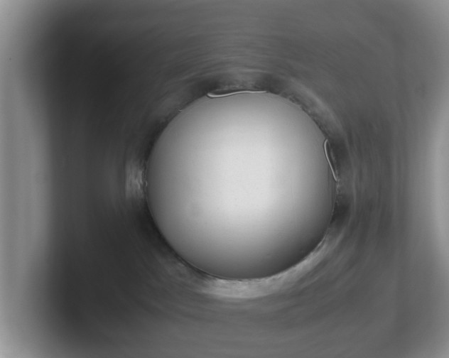 X0000102480045200808151459