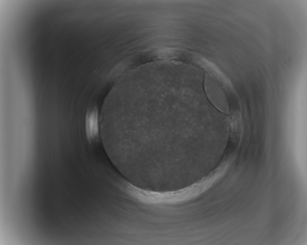 X0000102480046200808151459